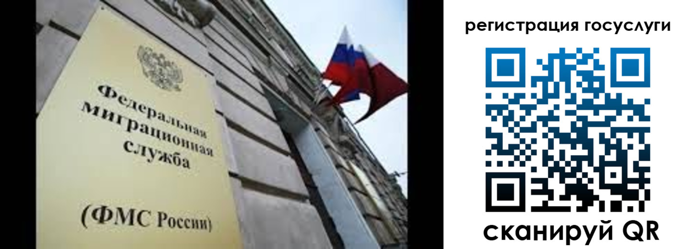 прописка для школы в Козельске
